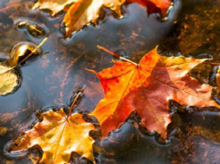 Гороскоп на 4 жовтня для всіх знаків зодіаку: день, коли потрібно обережно поводитися з грошима