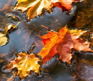 Гороскоп на 4 жовтня для всіх знаків зодіаку: день, коли потрібно обережно поводитися з грошима