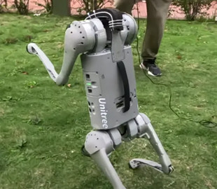 У Гонконгу створили унікального робопса, що вміє ходити на двох лапах і самостійно підніматися після падіння