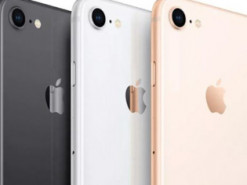 Появились новые фото iPhone SE 2