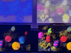 Sony показала революційні телевізори True RGB: над технологією працювали 20 років