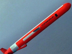 Нідерланди хочуть розробити бюджетну версію Tomahawk: ЗМІ дізналися деталі