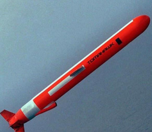 Нідерланди хочуть розробити бюджетну версію Tomahawk: ЗМІ дізналися деталі