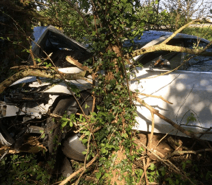 Водій Tesla забув увімкнути автопілот і потрапив у аварію: електромобіль міг уникнути ДТП