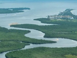 Интернет закончился. Поток грязи, выброшенной в океан на 1000 км, нарушил передачу данных в Африке