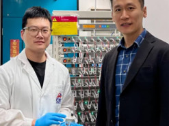 Тисяча циклів без втрат. Вчені з Гонконгу розробили високоефективну кальцій-іонну батарею