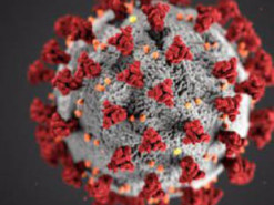 Коронавірус уже цього року забрав 1 млн життів – ВООЗ