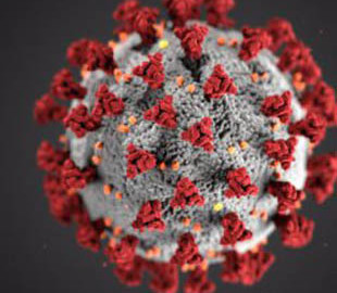 Коронавірус уже цього року забрав 1 млн життів – ВООЗ