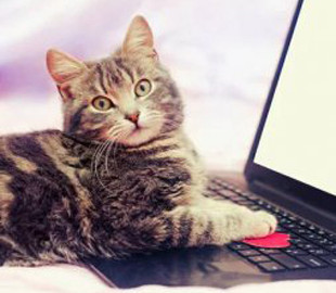 Що не можна робити, сидячи за ноутбуком: запам'ятайте ці три простих правила