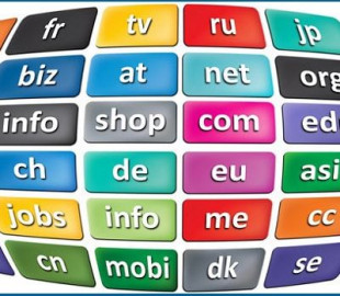 Названы 25 самых посещаемых доменов в Украине