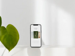 Правильна зарядка смартфона: як продовжити життя акумулятора