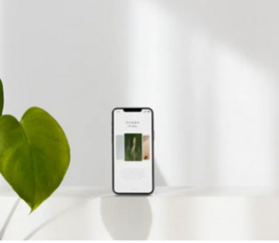 Правильна зарядка смартфона: як продовжити життя акумулятора