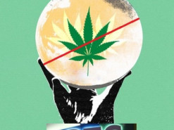 На выставке технологий CES компании, награжденной за инновацию, запретили упоминать слово «марихуана»