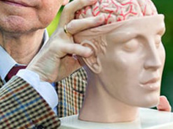 Вчені з'ясували, що відбувається з мозком, коли людина бреше