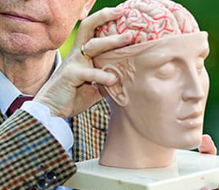 Вчені з'ясували, що відбувається з мозком, коли людина бреше