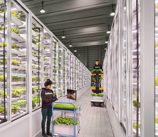Стартап зі створення вертикальних ферм Infarm залучив $200 млн і планує розширюватися по світу