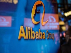 ИИ-система Alibaba поможет фермерам следить за свиньями