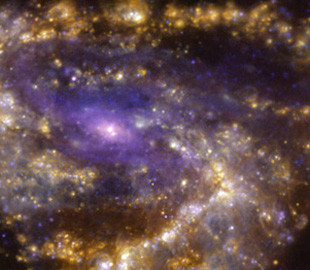 Пурпурний серпанок галактики Messier 66 показали на фото
