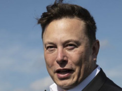 Стало відомо, що очолить Маск при адміністрації Трампа