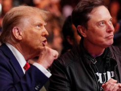 Маск публічно признався Трампу у любові: що відомо