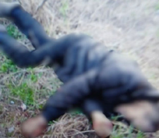 Жителі Харківської області підняли дрон-ждун, який вибухнув