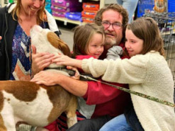 Сім'я вирушила до притулку за новим вихованцем і знайшла втраченого собаку