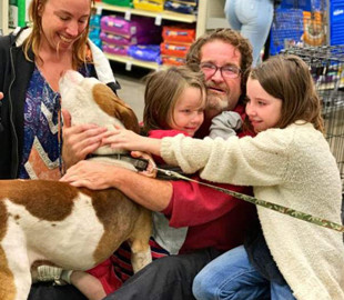 Сім'я вирушила до притулку за новим вихованцем і знайшла втраченого собаку