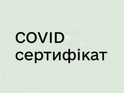 Украина и Грузия взаимно признали COVID-сертификаты