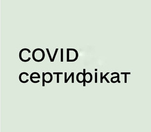 Украина и Грузия взаимно признали COVID-сертификаты