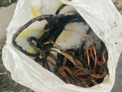 В Кременчуге снова поймали похитителей коммуникационных кабелей