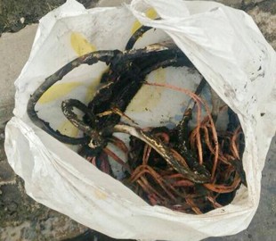 В Кременчуге снова поймали похитителей коммуникационных кабелей