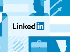 LinkedIn назвала самые востребованные навыки в 2019 году