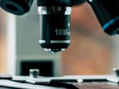 Вчені створили програму для спілкування з мікроскопом природною мовою