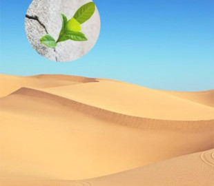 Фахівці створили бетон з пустельного піску та деревини