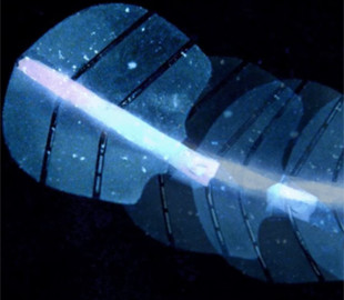 Інженери розробили робота, який працює без батарейок