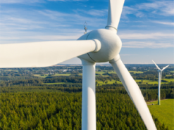 США планують скасувати $13 млрд субсидій на «зелену» енергетику