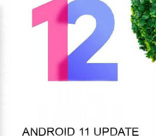 Xiaomi наконец-то обновит много смартфонов до MIUI 12 на Android 11