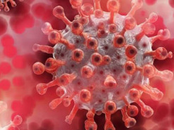 ИИ рекомендовал 200 новых препаратов для борьбы с COVID-19