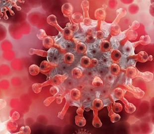 ИИ рекомендовал 200 новых препаратов для борьбы с COVID-19