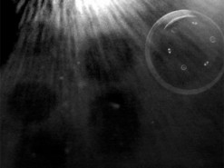 NASA показало політ капсули станції OSIRIS-REx