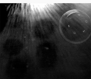 NASA показало політ капсули станції OSIRIS-REx