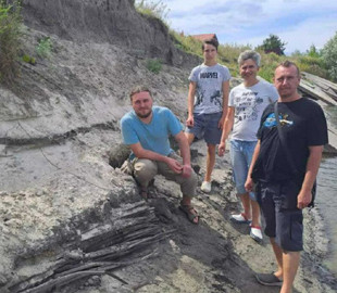 В Україні знайшли незвичайний інструмент