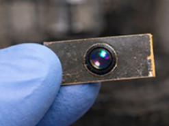 Очі комах замість лінз: нова технологія змінить дизайн смартфонів