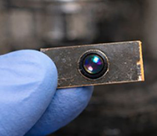 Очі комах замість лінз: нова технологія змінить дизайн смартфонів