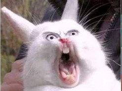 Японец увековечивает мемы в скульптурах (Фото)