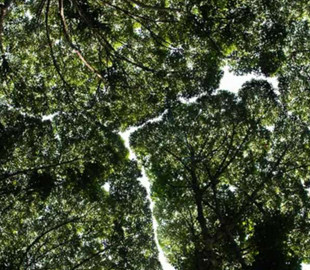 Вчені попередили людство про загрозу екологічної катастрофи