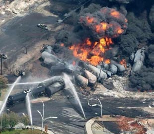 Netflix удалит кадры с настоящей катастрофой из «Птичьего короба»