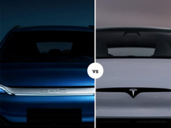 BYD набагато випереджає Tesla у Китаї