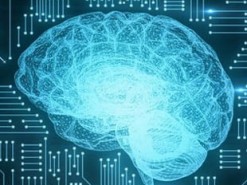 Появилась умная миска с искусственным интеллектом