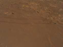 NASA показало нові знімки Марса